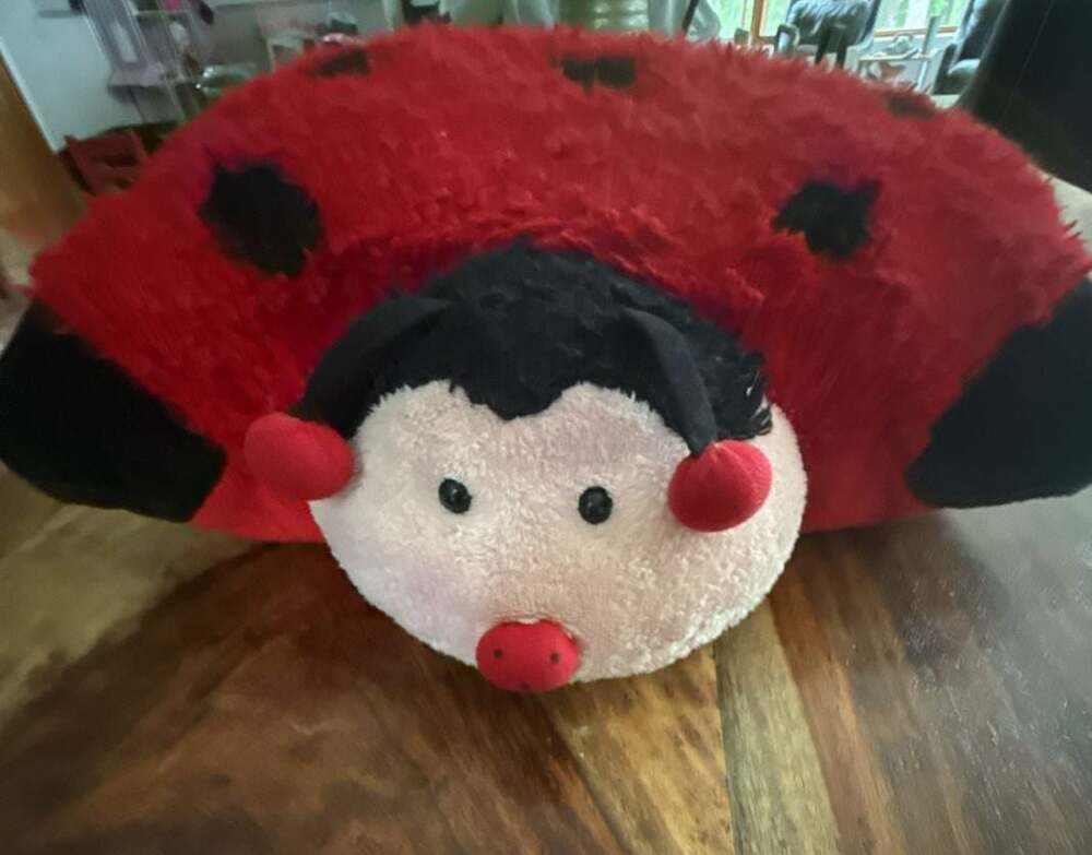 Pillow Pets Ladybug Foldable Plush Stuffed Animal (2010)